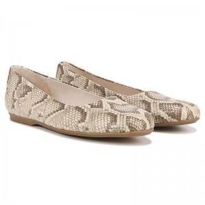 Flat Dr Scholls Wexley Ballerina Mujer Beige | MX3086VDU