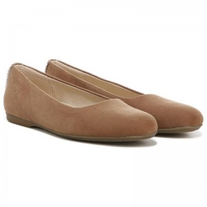 Flat Dr Scholls Wexley Ballerina Mujer Marrom | MX3082QZE