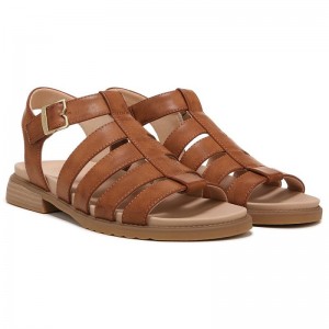 Sandalias Dr Scholls A Ok Gladiator Mujer Marrom | MX2962TVD