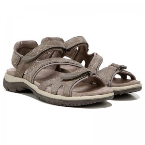 Sandalias Dr Scholls Adelle Mujer Grises Marrom | MX2969BCZ