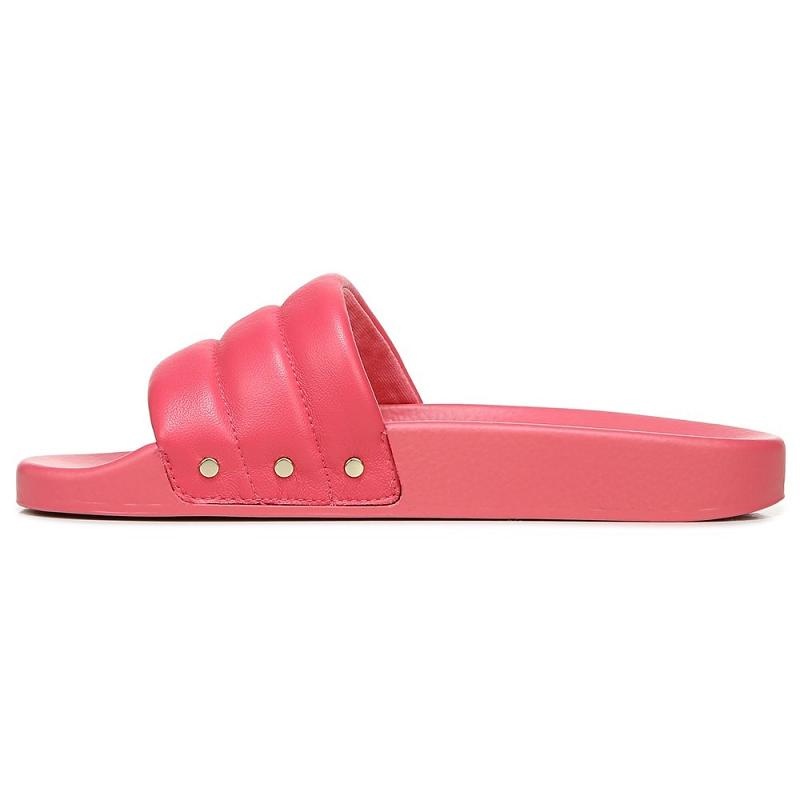 Chanclas Dr Scholls Pisces Chill Chanclas Mujer Rosas Oscuro | MX2929SOY