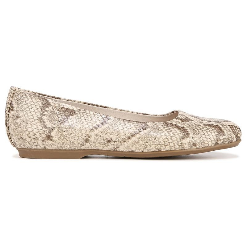 Flat Dr Scholls Wexley Ballerina Mujer Beige | MX3086VDU