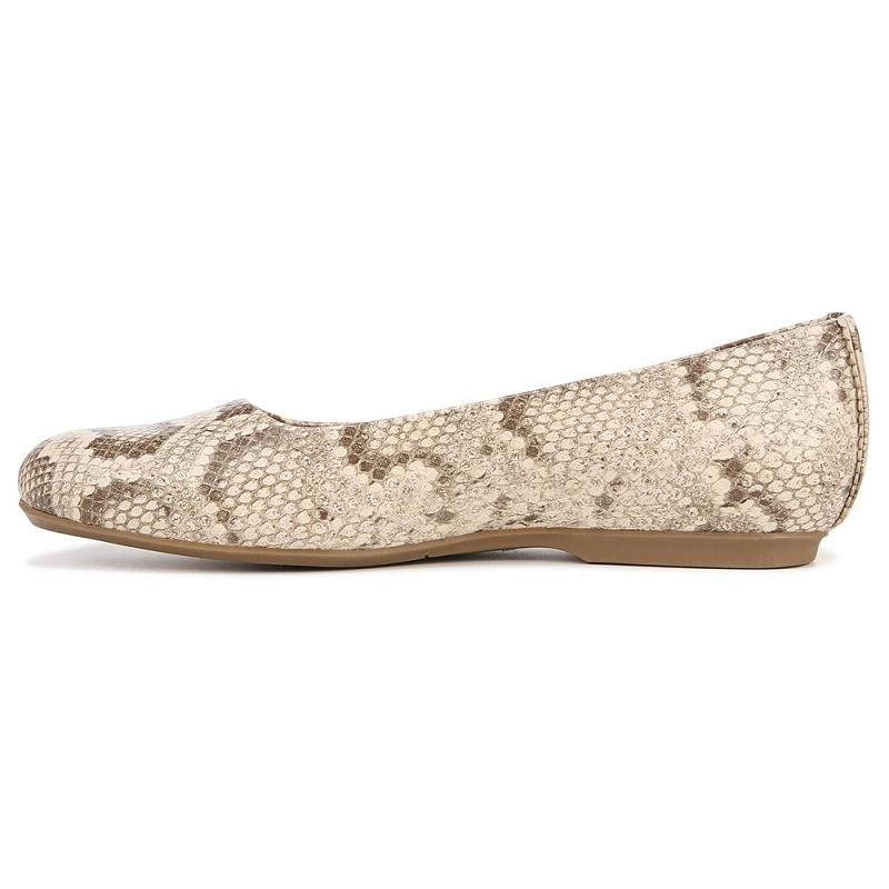 Flat Dr Scholls Wexley Ballerina Mujer Beige | MX3086VDU